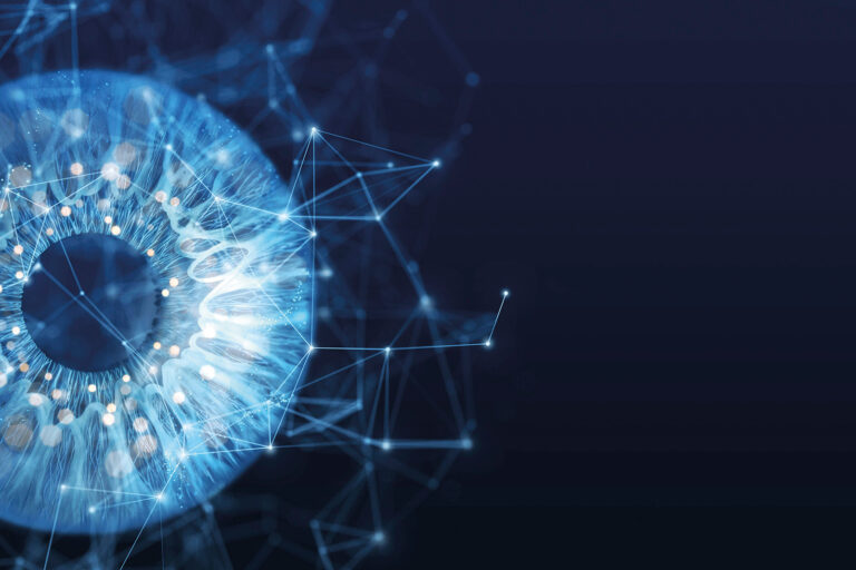 Biometric eye scan and network